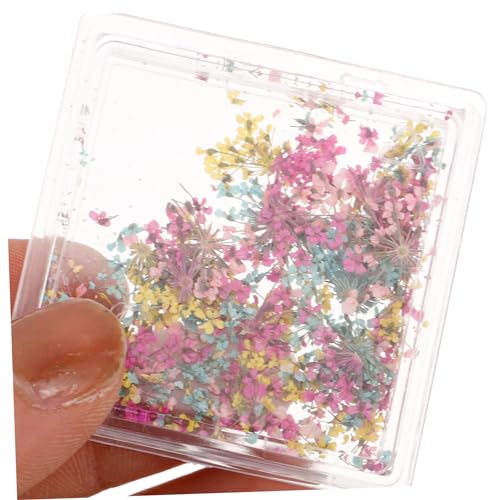 Decoración Floral Secada para Uñas Ipetboom miniatura 4