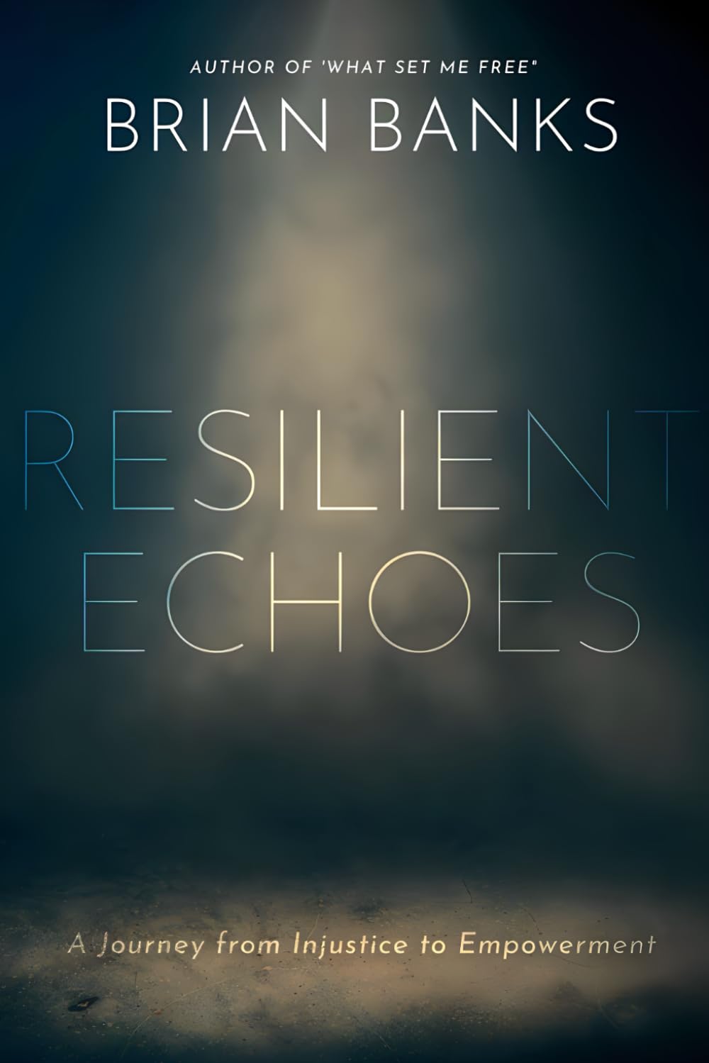 Resilient Echoes: A Journey from Injustice to Empowerment (Echoes of Resilience)