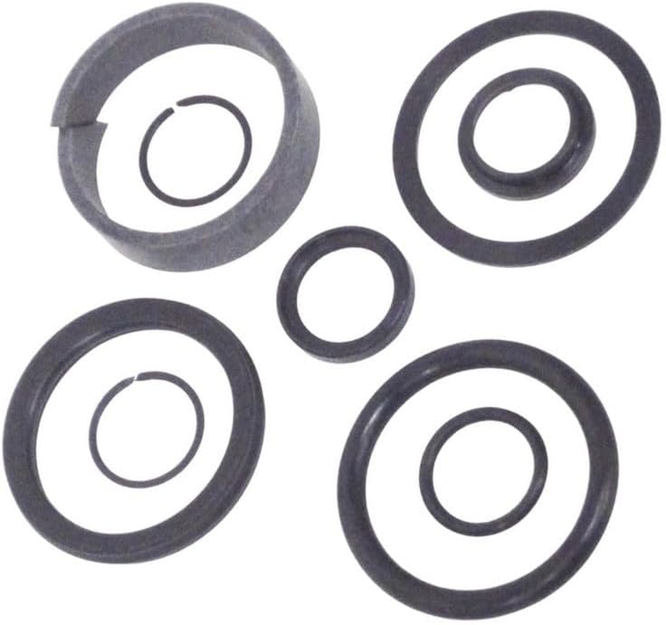Forward Lift 2 post Cylinder Seal Kit/rebuild kit 7-10k lbs 992317 991281 10000a, 10000a2, 10000an, dp10, dp10a, dp10an, dp10a2, INT9, ISP9S, I10111000