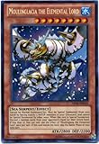 YuGiOh Moulinglacia the Elemental Lord ABYR-EN035 (unlimited Secret)