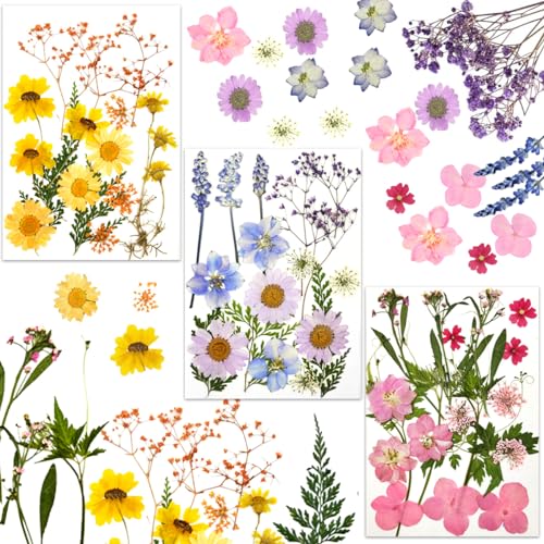 JRDFHT Trockenblumen, Natürliche Getrocknete Blumen, Gepresste Blumen, Dried Flowers, Trockenblumen für Epoxidharz, DIY Kunsthandwerk