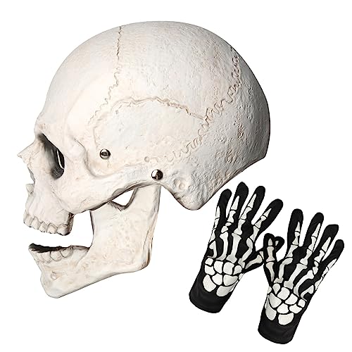 Kjocos Skull Mask Moving Jaw Halloween Creepy Skeleton Latex Mask With Gloves Full Head For Adults Party Costumes thumb #4