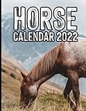  Horse Calendar 2022: Cute Animal Calendar for Horse Lovers Featuring Note Taking Space  Home and Office 12 Month Calendar Gift for a Hippophile