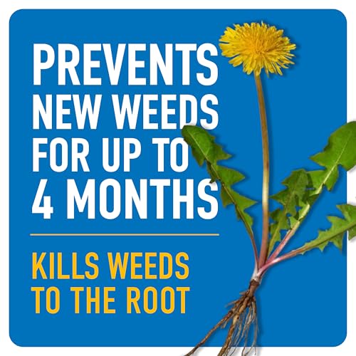 Roundup Dual Action Weed & Grass Killer + 4 Mo. Preventer, Wand, 1.33 gal. - image 2