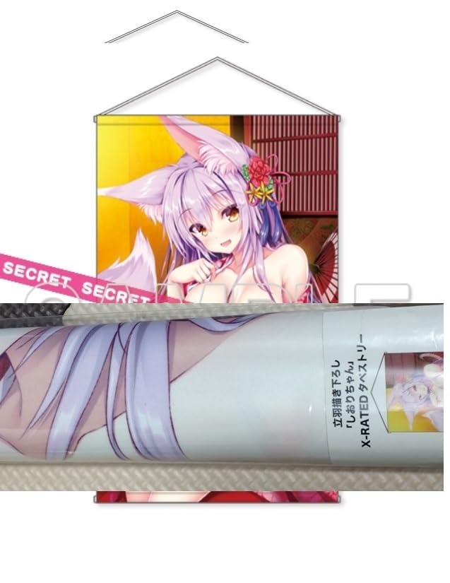 立羽 直筆サイン入り X-RATED 複製原画 2021夏 電撃萌王 ポスト