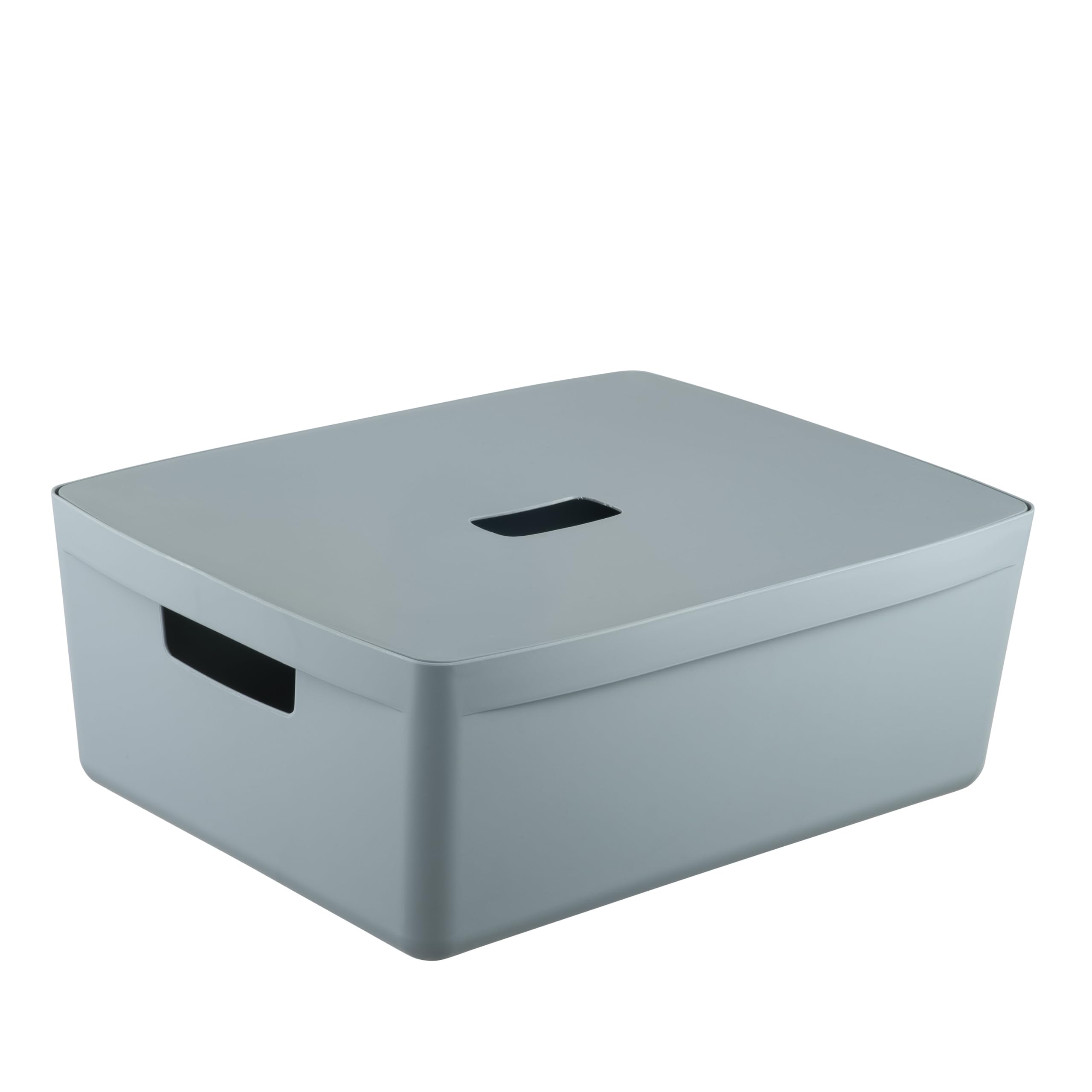 IDEA HOME Cajas de Almacenamiento con Tapa 8 Piezas - Cajas de Almacenaje de Plástico - Caja Organizadora para Baño Estantería con Tapa, 19L, Azul