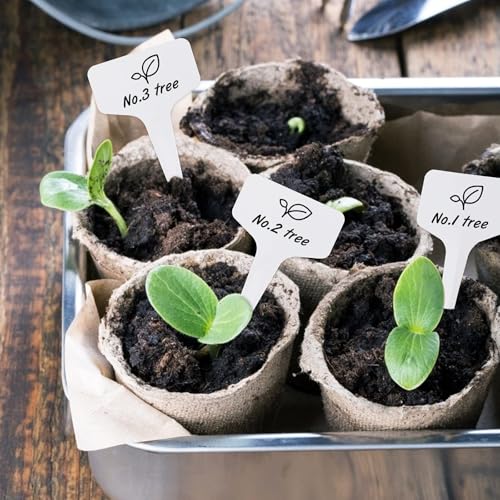 Kinglake TRTAZI11A 100 Pcs 6 X10Cm Plastic Plant T-Type Tags Nursery Garden Labels thumb #3