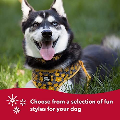 Coastal - Ribbon - Designer Wrap Adjustable Dog Harness, Brown Paws And Bones, 5/8" X 16"-19" #TOP5