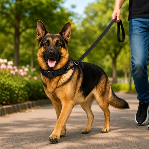 Image of Tactical Dog Collar and Leash Set, Black