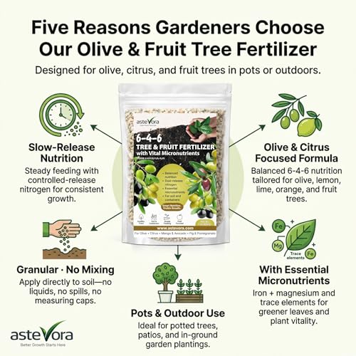 Image of Olive Tree Fertilizer - Fruit Tree Fertilizer for Olive Tree, Citrus, Lemon, Lime, Fig, Avocado, Mango, Apple & Pomegranate - for Potted & Outdoor Trees (10 quarts - 20 lbs.)