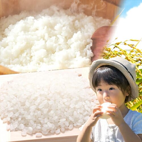 [隔月6回定期便]ひごみのり 無洗米 熊本県産 ブレンド米 5kg 熊本県産 ふるさと納税 無洗米 精米 米 こめ ふるさとのうぜい コメ お米 おこめ[お申込み翌月から出荷]