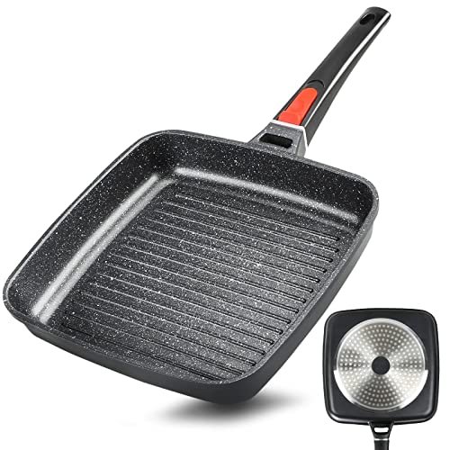 Top 10 Best Frying Pan For Steaks Reviews & Buying Guide Katynel