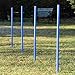 Lemodo Agility Set für individuelles Hundetraining, Hürden und Slalomstangen mit massiven Erdnägeln, Hundesport