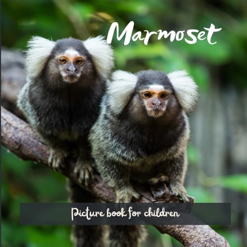 Marmoset: Picture book for children