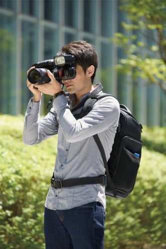 Sony LCSBP3 DSLR System Backpack with Laptop Storage, (Black),Large2