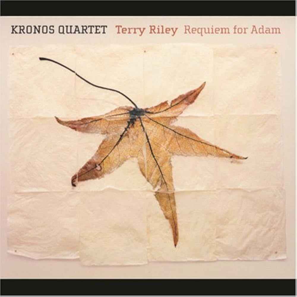 Amazon.co.jp: テリー・ライリー:レクイエム・フォー・アダム