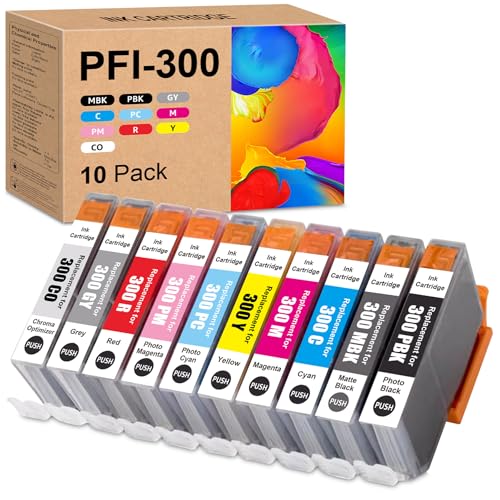 Encre pigmentée PFI-300 haute densité pour des tirages photo d'art durables