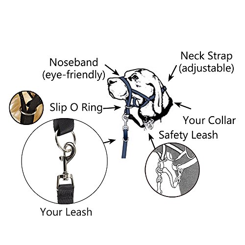 Dog Head Collar, No Pull Training Tool For Dogs On Walks, Includes Free Training Guide, 5 (L, Black) #TOP6