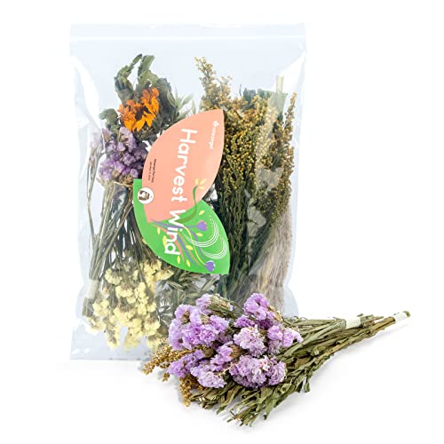 Image of Niteangel Harvest Wind Series Hamster Bedding Mate for Syrian Dwarf Hamsters Gerbils Mouse Mice Degus or Other Small-Sized Pets (Flower Version)