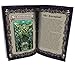 The Ghoulish Garb Terror Tarot Card Deck - 23 Card Major Arcana Halloween Tarot Cards and Guidebook Occult Gothic Oracle Cards for Beginners with Guide Book Oracle Decks