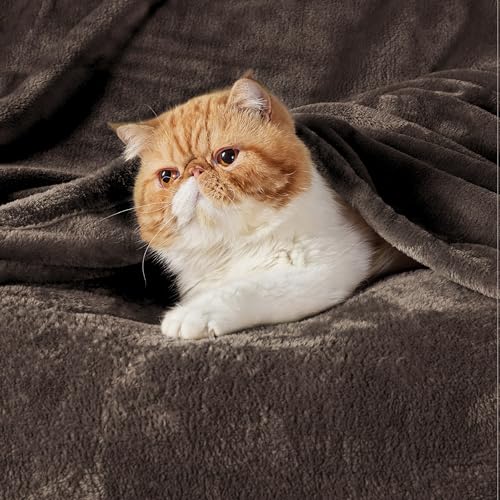 BEDSURE Kuscheldecke Flauschig Decke Fleecedecke - Wohndecke Warm Winter Weich, Sofadecke XL, Decke Couch Blanket, Wohn- & Kuscheldecken 150x200cm, Sofa überwurfdecke Braun