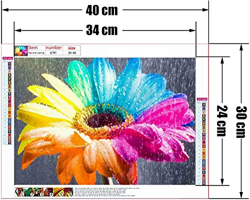 image for DIY 5d Diamond Painting Kits for Adults, Mosaic Making Full Drill Colo