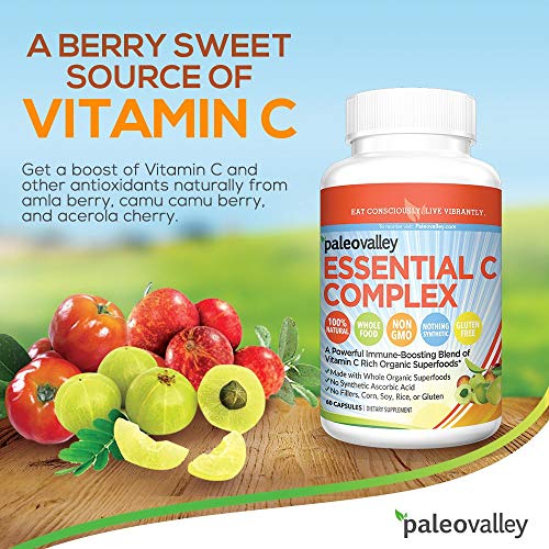 Paleovalley Essential C Complex - Vitamin C Supplement for Immune Support - 3 Pack, 450mg - From Organic Superfoods Unripe Acerola Cherry, Camu Camu, Amla Berry - No Synthetic Ascorbic Acid - USA Made - Thumbnail 2