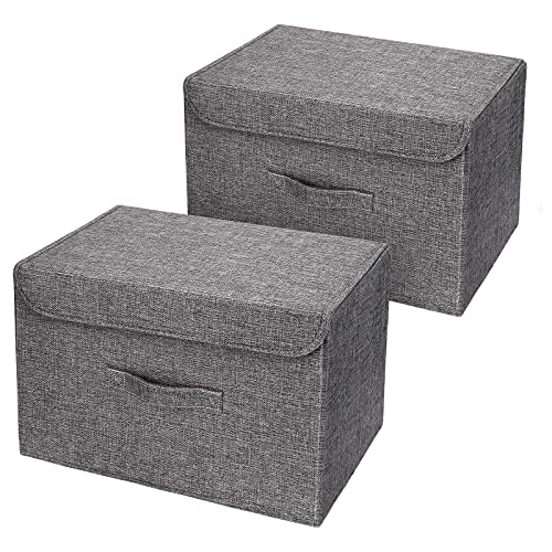 DIMJ Lot de 2 Boites de Rangement, Rangement de Vetement Pliable, Caisse de Rangement en Tissu avec Couvercles et Poignées pour Maison, Bureau, Placard, Chambre à Coucher 38 * 25 * 25cm (Gris)