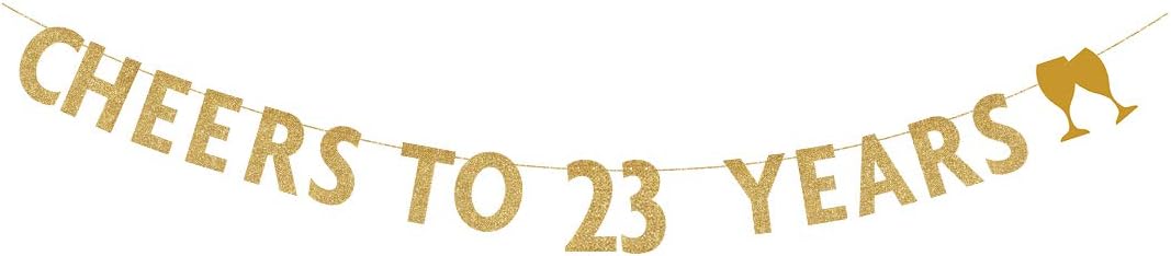 Last Year In My 20s Banner - Happy 29th Birthday Party Decoration Supplies