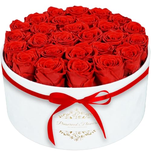 17 Preserved Roses