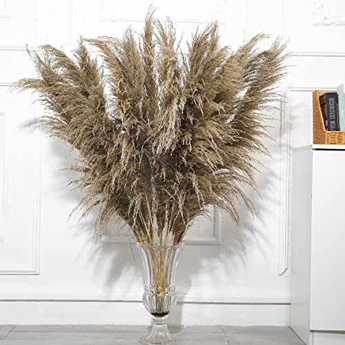 9-Stems-Pampas-Grass-Decor-Tall-484-FT-Long-Fluffy-Dried-Pompas-Grass-Large-Pampas-Grass-for-Floor-Vase-Rustic-Wedding-Baby-Shower-Party-Farmhouse-Boho-Home-Decor