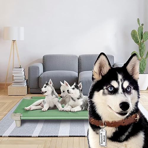 Cama Pet, Cama para Cachorros, Confortável e Higiênica, Manta Cor Verde e Pés Cor Gelo, Acrimet