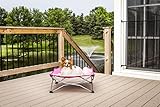 Carlson Pet Products Portable Pup Travel Pet Bed, Pink, Small
