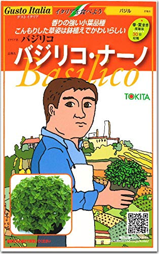 �o�W�� �o�W���R�E�i�[�m ��q 200��