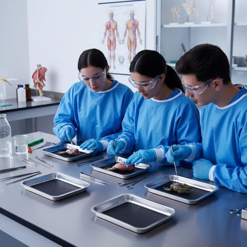 Image of Conelist 24 Set 10.2 x 7.5 Inch Stainless Steel Dissection Pan with Wax and Rubber Nonslip Mat, Reusable Classroom Dissecting Pan, Laboratory Tray for Biology Lab, Science Education Supplies (Black)