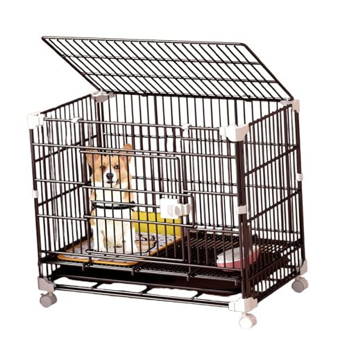 /^p̖̌ؔAgbvhAƎhǍAO\ȃgCƎԗ֕t̐򂪐ꂽ̃P[WAȌ̖ؔƋ ubN 70*50*65cm