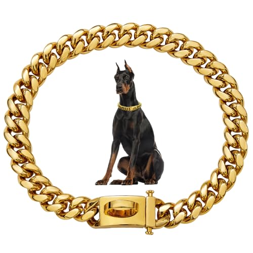 Hundekettenkragen 19mm Dickes Gold Metallhundkragen Edelstahl Hundekette mit Schnalle Starker schweres Hundehalterkragen Haustierkragen für kleine mittelgroße Hunde, Metallhundkragen