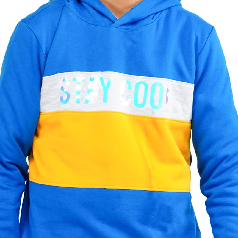 Image of Real Basics Boys Cotton Hooded Sweatshirt(Pack of 1)