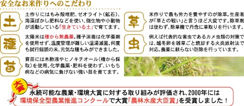 つがるロマン☆玄米No２☆約３０ｋｇ 楽天市場】つがるロマン 玄米30kgの通販