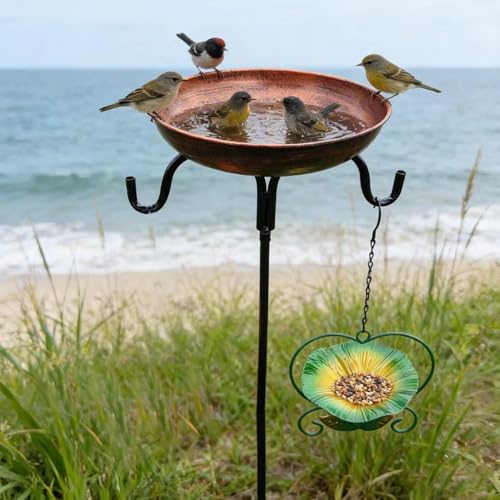 Bain d'oiseaux extérieur en métal résistant au design vintage