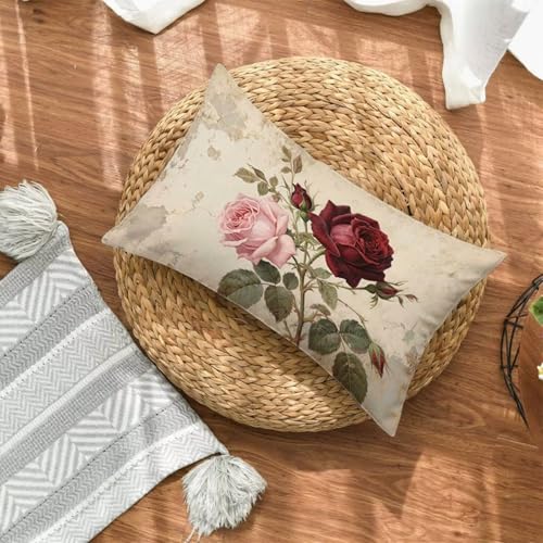 �}�X�^�[�h�F �N�b�V�����J�o�[ 30x50 1���Z�b�g �h�� ���� �N�b�V�����J�o�[ �����` �B���t�@�X�i�[ ���z�c�J�o�[ 50x30cm �􂦂� ���ʈ�� �N�b�V�������΁[ �_�炩 �T���T���̔��G�� �ȒP���E �K�p�Ώ� �t �� �H �~ �z�[���f�R���[�V