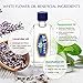 White Flower Analgesic Balm Embrocation Medicated Oil (Hoe Hin Pak Fah Yeow) (20ml/ Pack of 3)