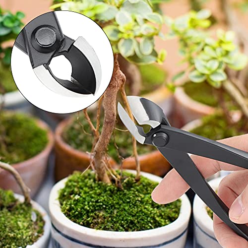 Cortador de Ramas Bonsái 6.4in con Mango Ergonómico miniatura 3