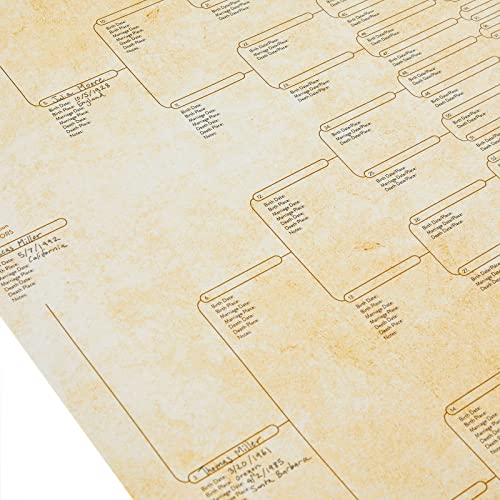 Okuna Outpost CHGYI 15 Pack Family Tree Charts To Fill In - Blank 8 Generation Genealogy Poster thumb #5