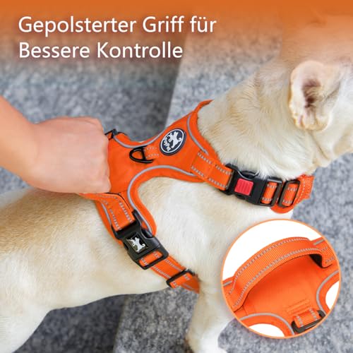 PoyPet Keine Pull Hundegeschirr, Reflektierendes Hundegeschirr für Hunde ohne Choke, Verstellbare, weich gepolsterte Haustierweste mit Easy Control-Griff für kleine bis große Hunde (Orange,XS)