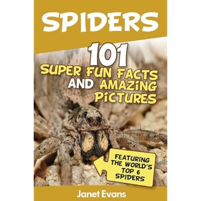 Spiders