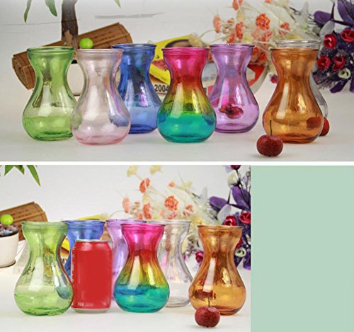Daliuing Colorful Glass Vase Hydroponic Hyacinth Vase Plant Flower Hanging Container Size 14.5X10X7.5Cm (Green) #TOP4
