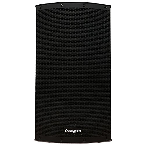 ChromaCast PA System (CC-AP-SPK-12)