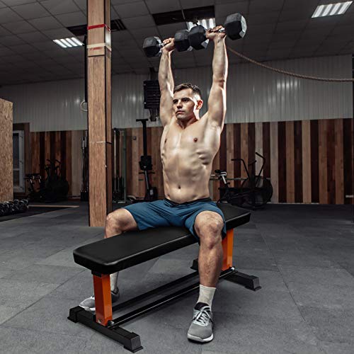 RitFit Utility Flat Weight Bench with Dumbbell Rack, 880 LB Capacity Workout Bench for Home Gym - Weightlifting, Strength Training, Full Body Exercise