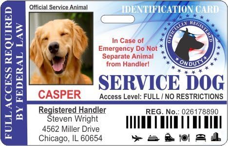 IDCards4U Holographic Service Dog Horizontal Badge ID